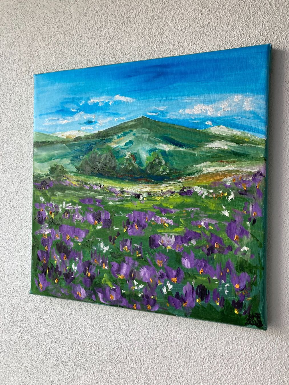 Dipinti: Berglandschaft mit Blumenwiese, Original Ölgemälde – Nuovo (secondo la descrizione) da Cham venduto da Felha 4