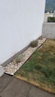 Entretien et travaux de jardinage 