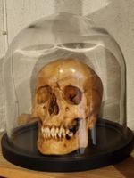 Menschen Schädel, Totenkopf Unikat, Kunstwerk