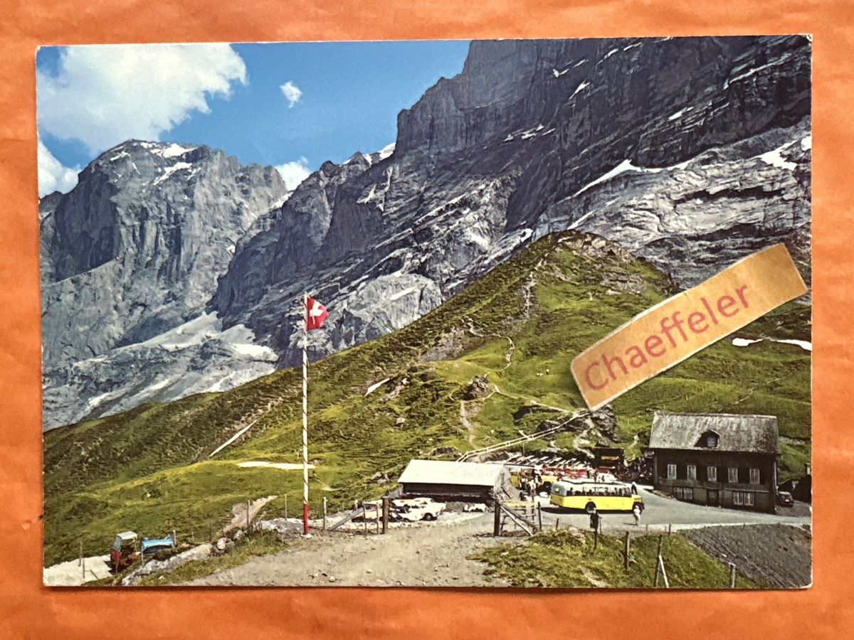 Cartoline postali: Hotel, große Scheidegg, Wellhorn￼ – Usato da Zürich venduto da Chaeffeler