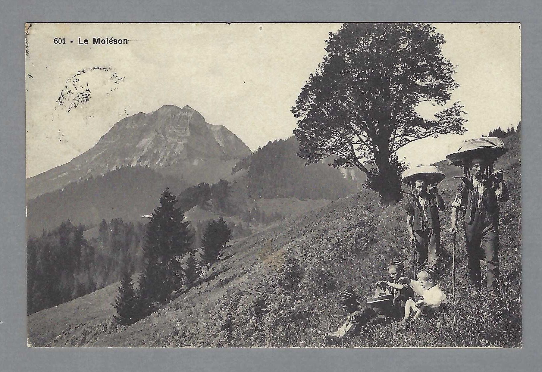 Cartoline postali: 1910, LE MOLÉSON, ANIMÉE – Usato da Pura venduto da ulisse1957