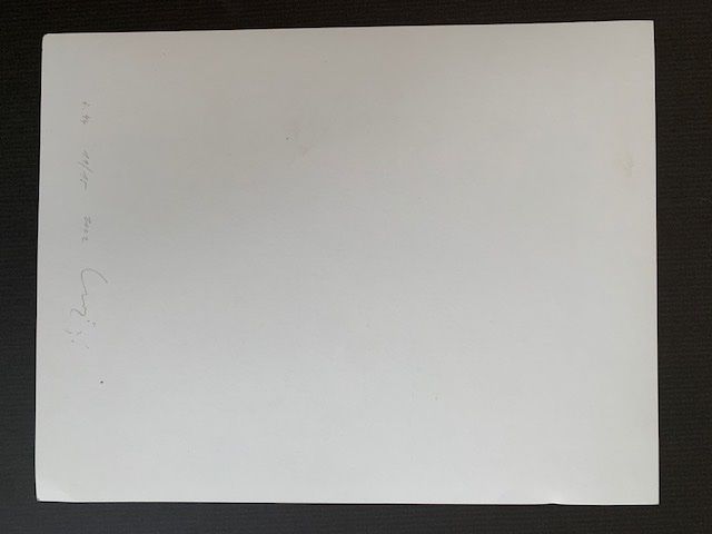 Grafica & Litografie: Ludek Vojtechovsky Tschechien – Usato da Zürich venduto da Aerdna_133 1