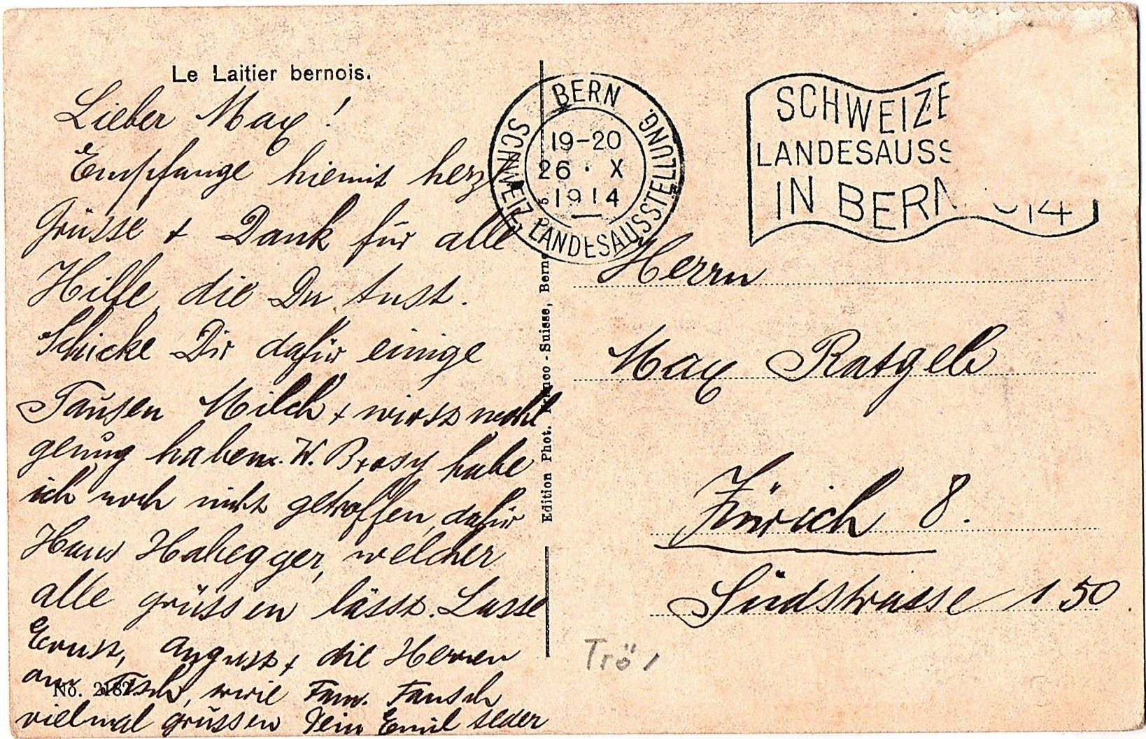 Cartoline postali: Ansichtskarte Berner Milchfurhmann mit Hundekarren – Usato da Mörschwil venduto da antiksalon 1