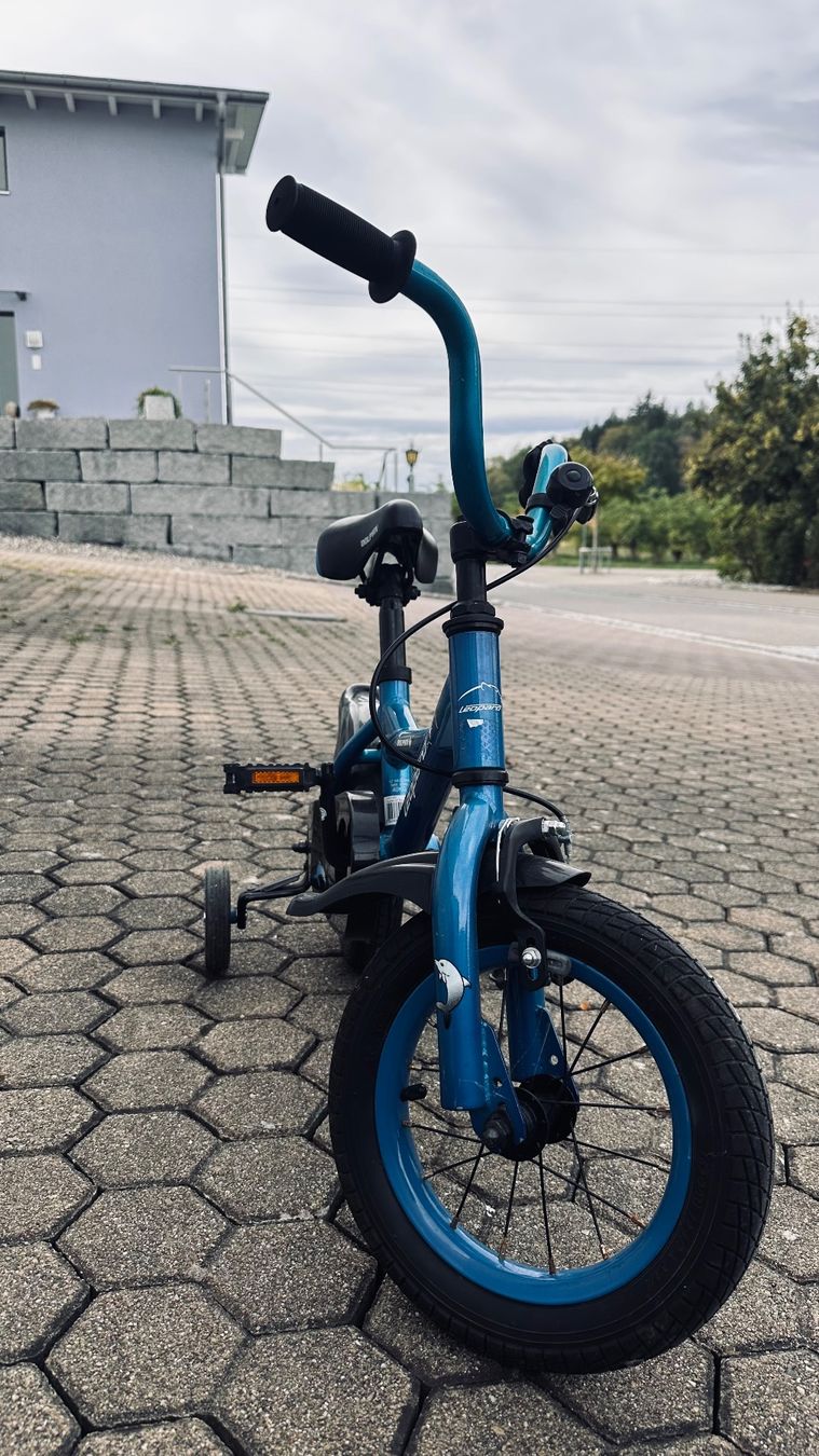 Leopard Biciclette: Kinderfahrrad Dolphin Leopard blau gebraucht – Usato da Stetten AG venduto da EIMAN78 3