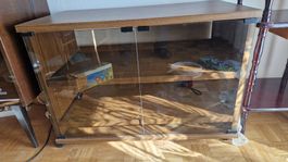TV - Möbel Holz Glas Unterschrank Glastür Displayschrank