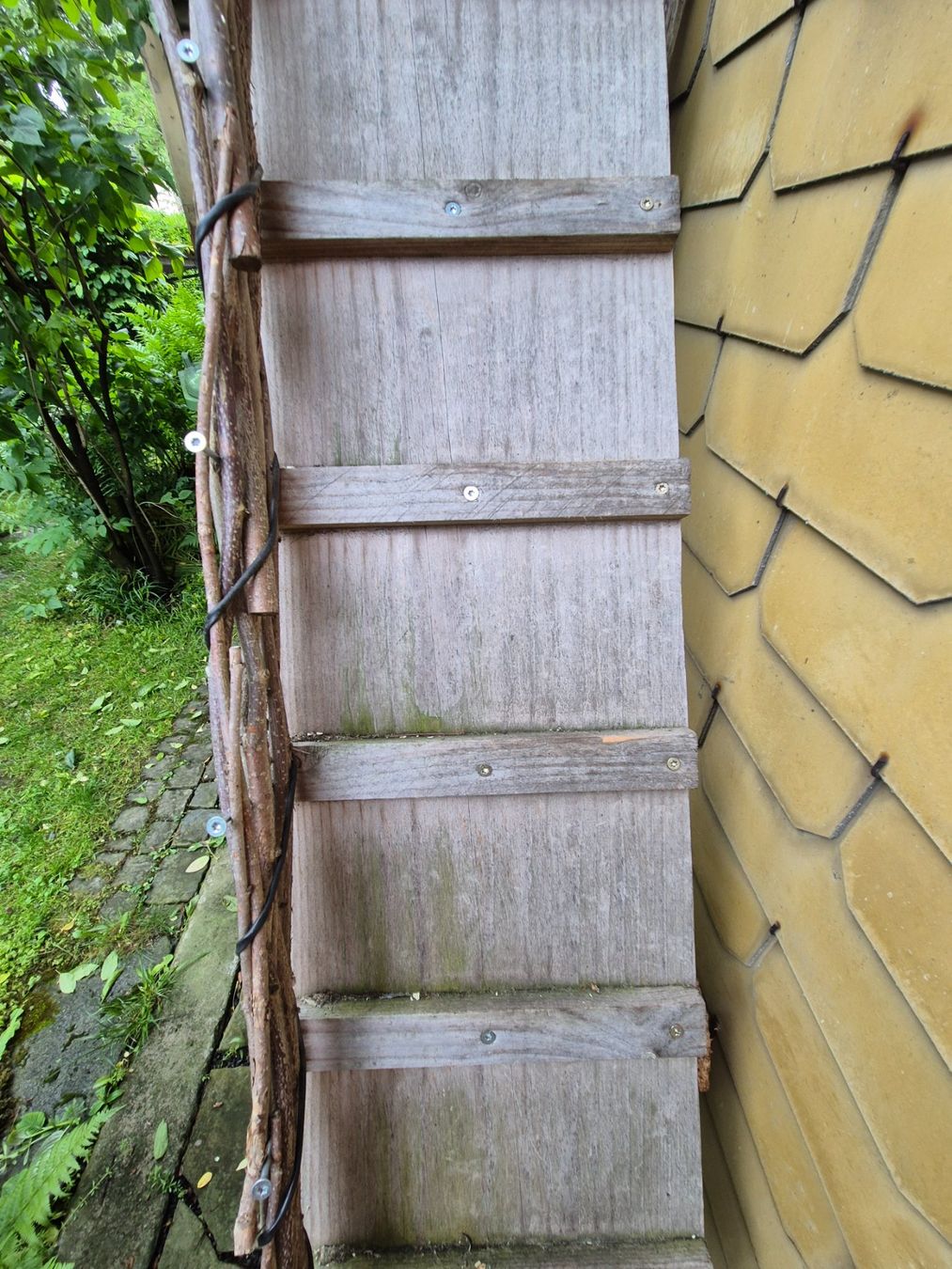 Scale: Katzenleiter – Usato da Buchs SG venduto da MStBu 3