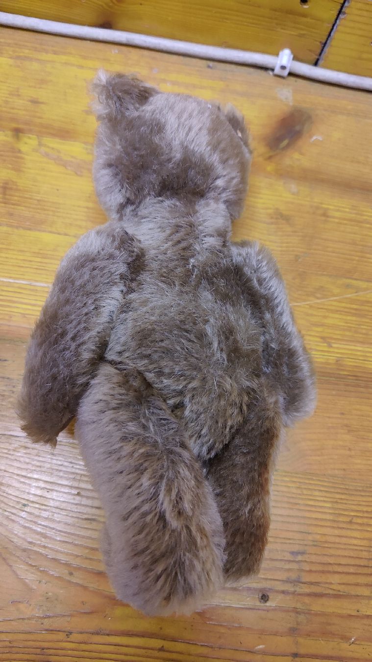 Steiff Giocattoli: Antiker Steiff Teddy, Teddybär (L10) – Usato da Neuenhof venduto da SchnaeppliAllerlei 3