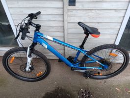 Velo CALIFORNIA KEENE 24