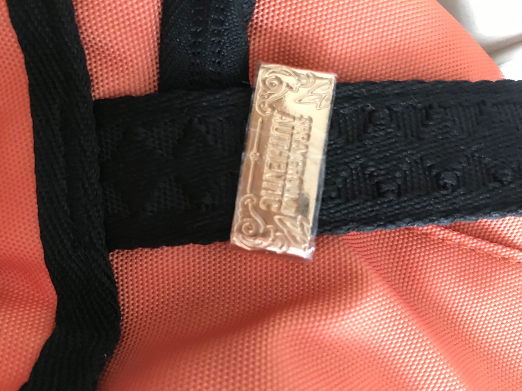 Zaini: Rucksack Sprayground x Nickelodeon – Nuovo e nell'imballaggio originale da Basel venduto da Kub61 5