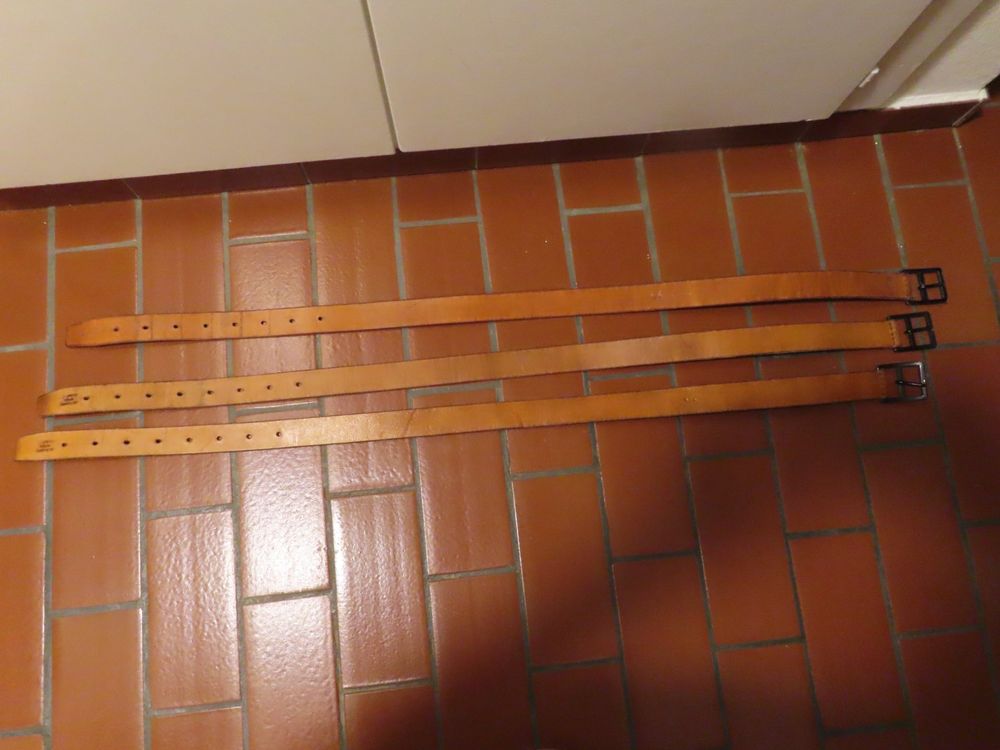 Eureka Staubsauger Ersatzgürtel Typ S – Originalteil #84756, Für Aufrechte Modelle AS1100, ASM1080-ASM1155 Serie