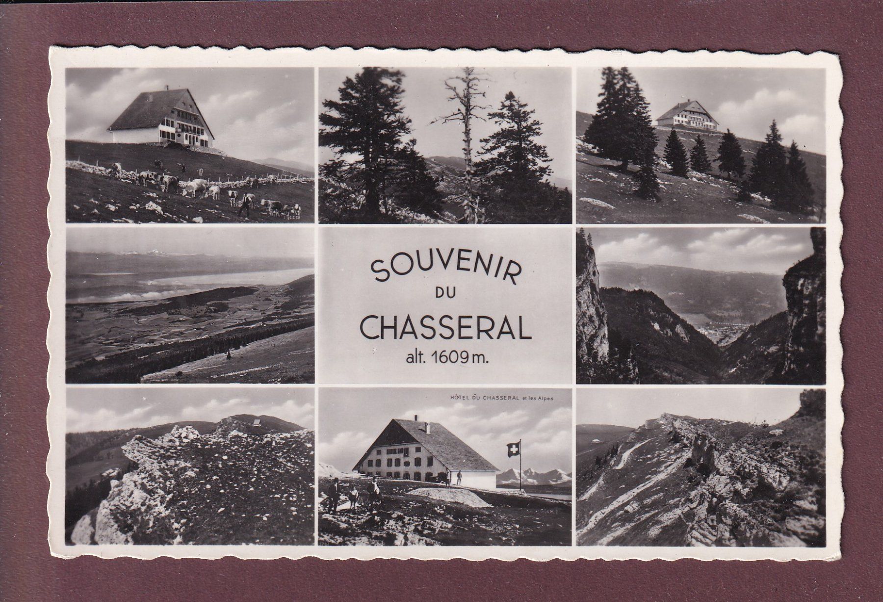 Cartoline postali: Souvenir du CHASSERAL - 1943 – Usato da Pully venduto da nicecards