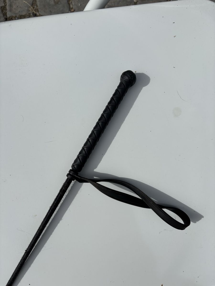 Altro in Accessori per animali: Reitgerte schwarz – Usato da St. Gallen venduto da may_8fbd 1