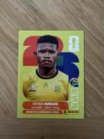 Panini 2026 RSA 14