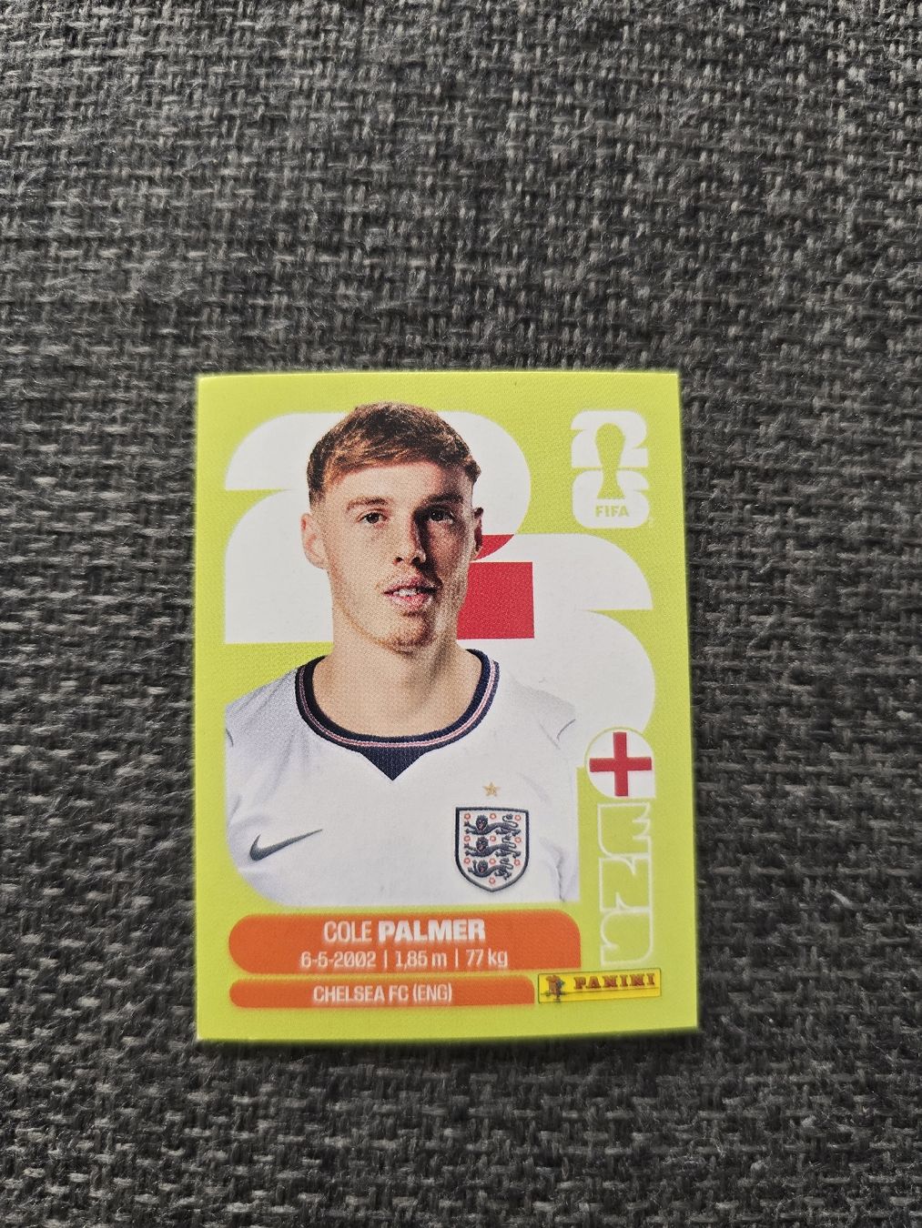 Panini Carte collezionabili: Panini ENG 12 – Nuovo (secondo la descrizione) da Lostorf venduto da Venice16