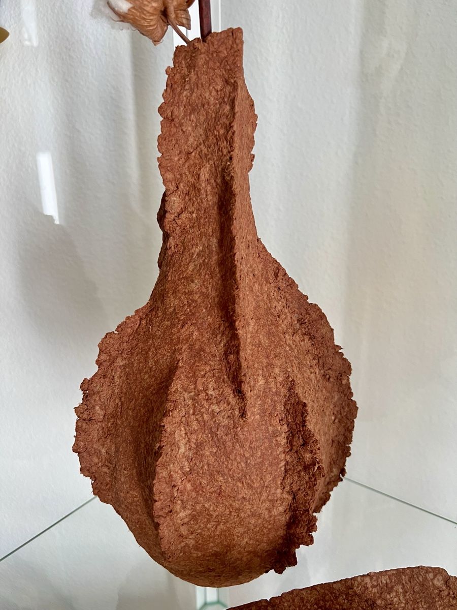 Vasen & Gefässe: Schale und Vase - Kunstobjekte – Neu (gemäss Beschreibung) aus Bern von zanie 1