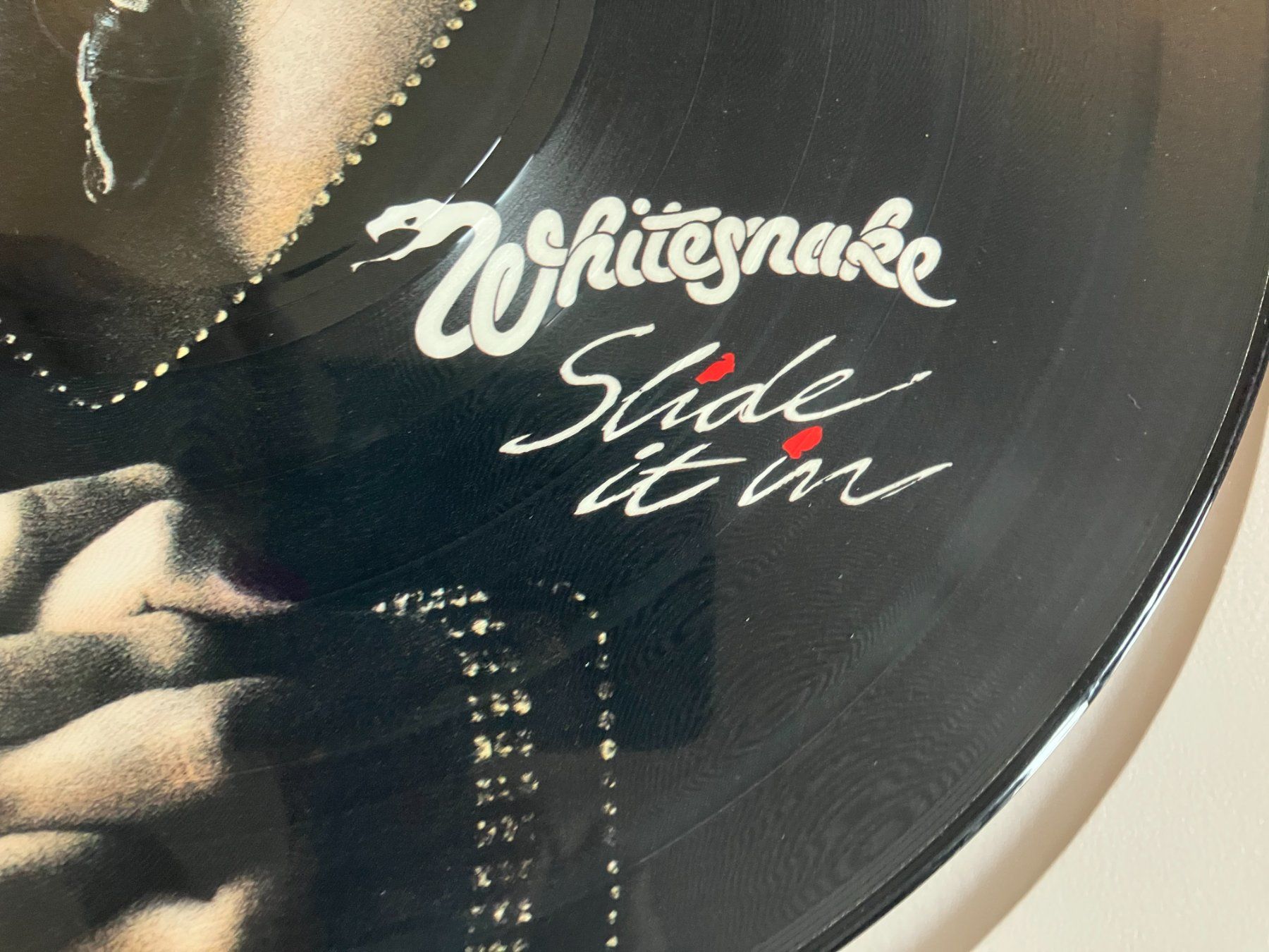 Dischi in vinile: Whitesnake – Usato da Aarwangen venduto da Jukebox3 5