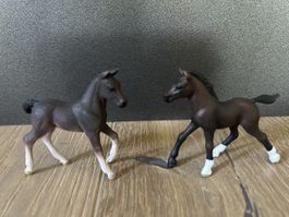 Schleich Fohlen
