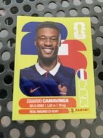 Panini Sammelbild FRA 10