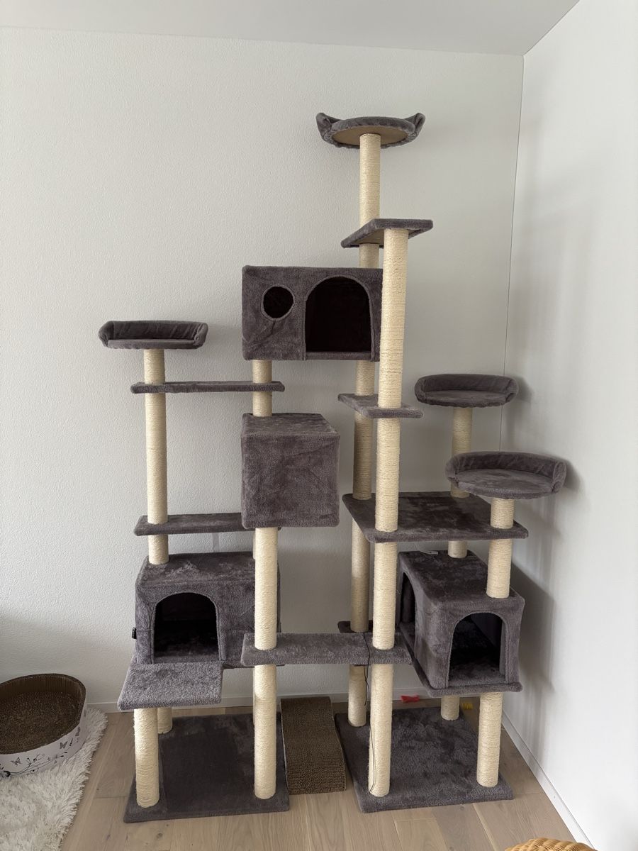 Tiragraffi: Kratzbaum Katzen 214cm grau – Usato da Lömmenschwil venduto da tmr_xx