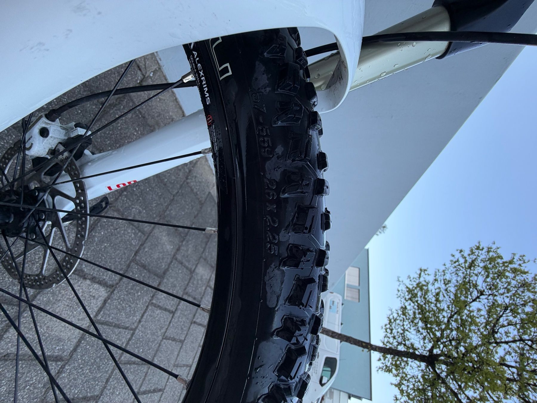 Vélos: wheeler 40 eagle – D'occasion à Adliswil par Seatpowe 5