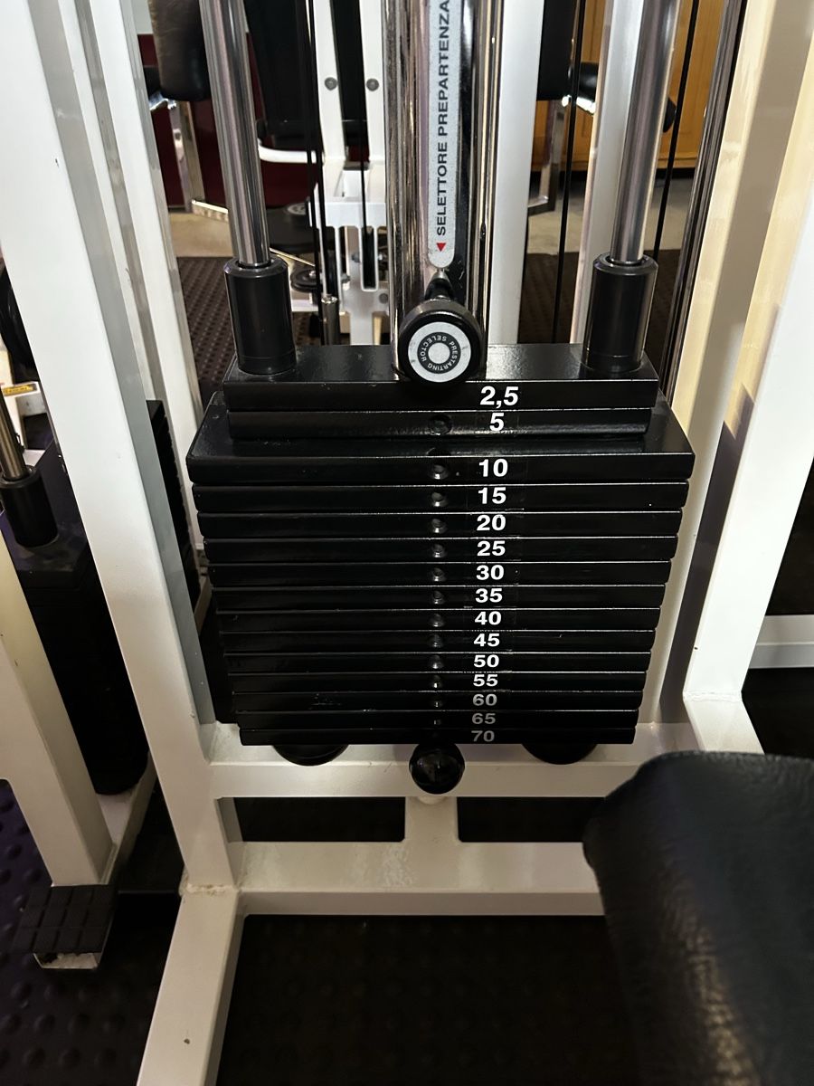 Technogym Hometrainer: Technogym Lower Back R.O.M. Kraftgerät gebrauchter Zustand – Usato da Luthern venduto da Kuestenwolff 2