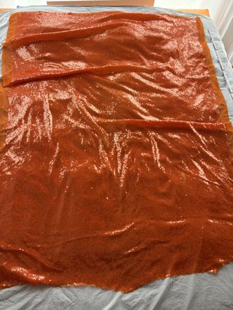 Pailletten Stoff für Fasnacht Kostüm