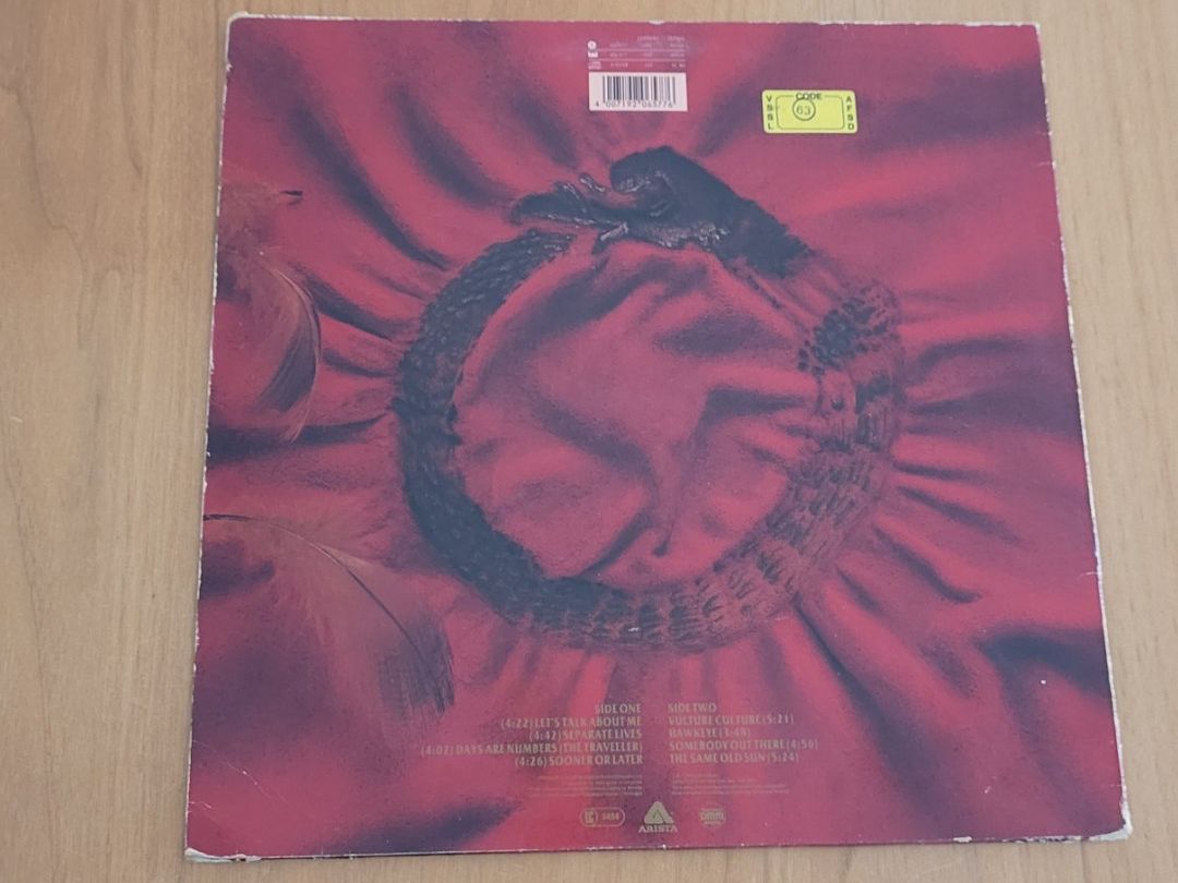 Vinyles: LP  The Alan Parsons Project – D'occasion à Martigny par MZ-67 1