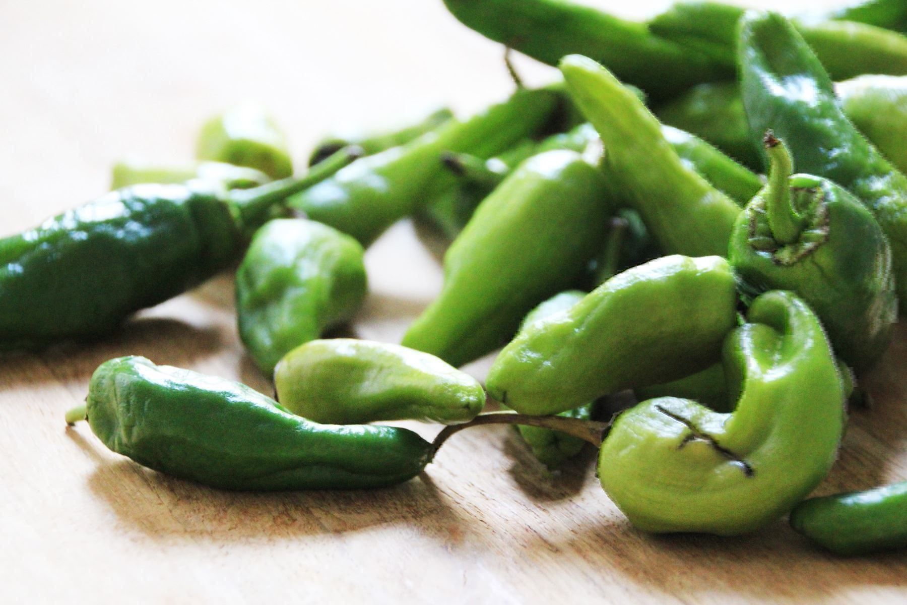 Piante & sementi: 50 Samen Pimento Padron Chili – Nuovo (secondo la descrizione) da Ehrendingen venduto da VerveinaSamen 2