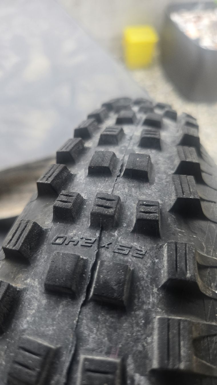 Schwalbe Pneumatici & Ruote complete: Schwalbe BIG BETTy & MAGIC MARY 29x2.4 – Usato da Flims Dorf venduto da skite 1