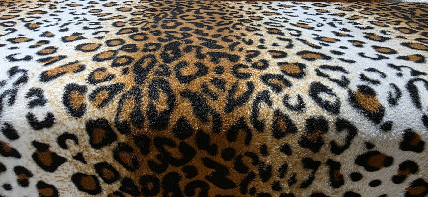 Bancs: Leopard Muster Bank – D'occasion à Kaufdorf par Nati-Nati 6