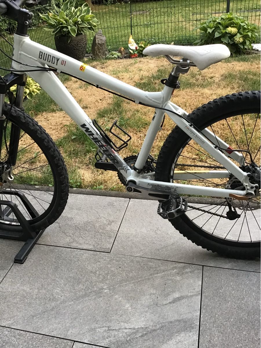 Velos: Mädchen MTB Wheeler Buddy  – Gebraucht aus Buchs SG von tin_59XL 8