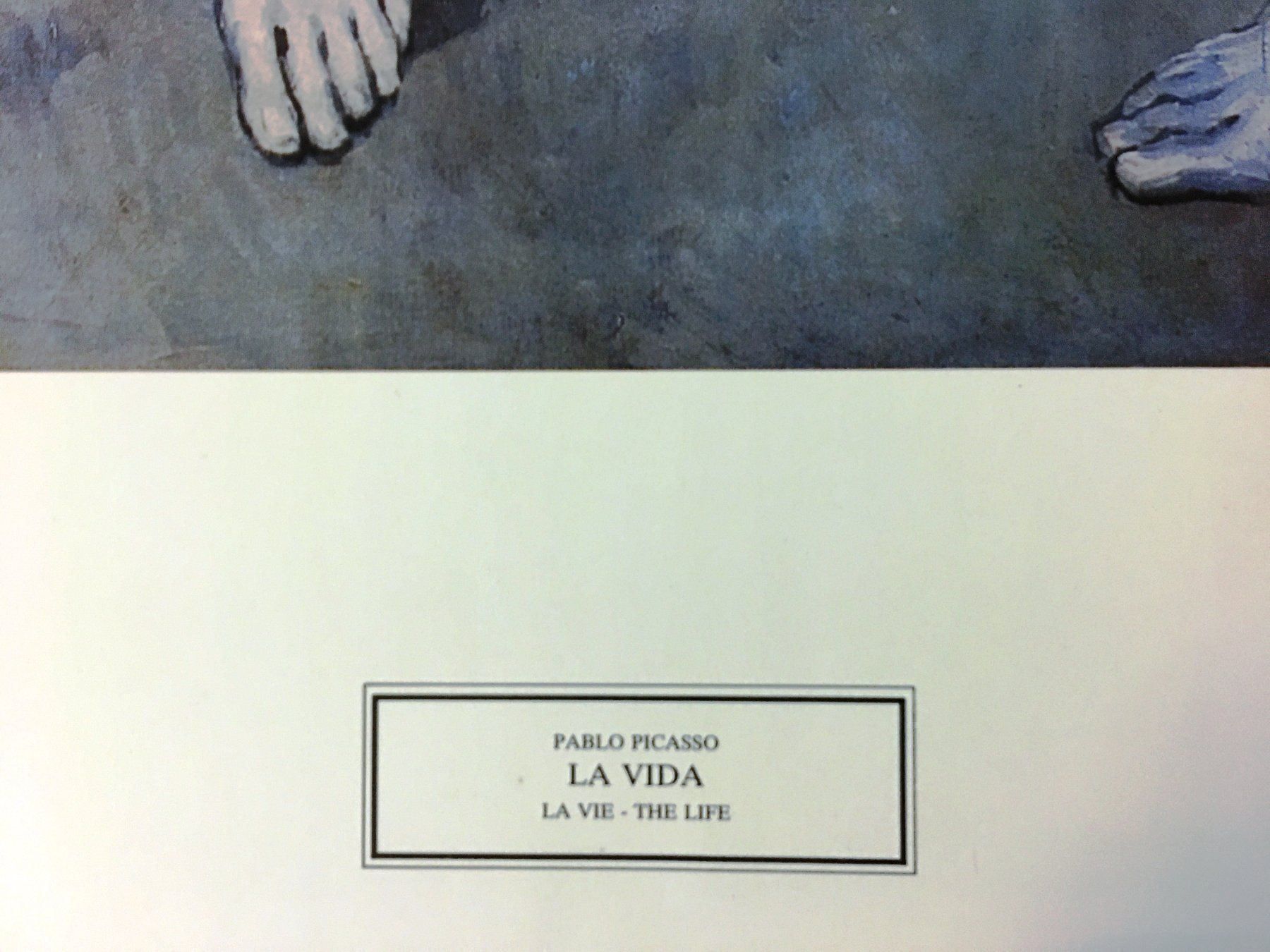Foto & Immagini: 1983 - Kunstdruck P. Picasso - 70 x 52cm – Usato da Oftringen venduto da Vucki 1