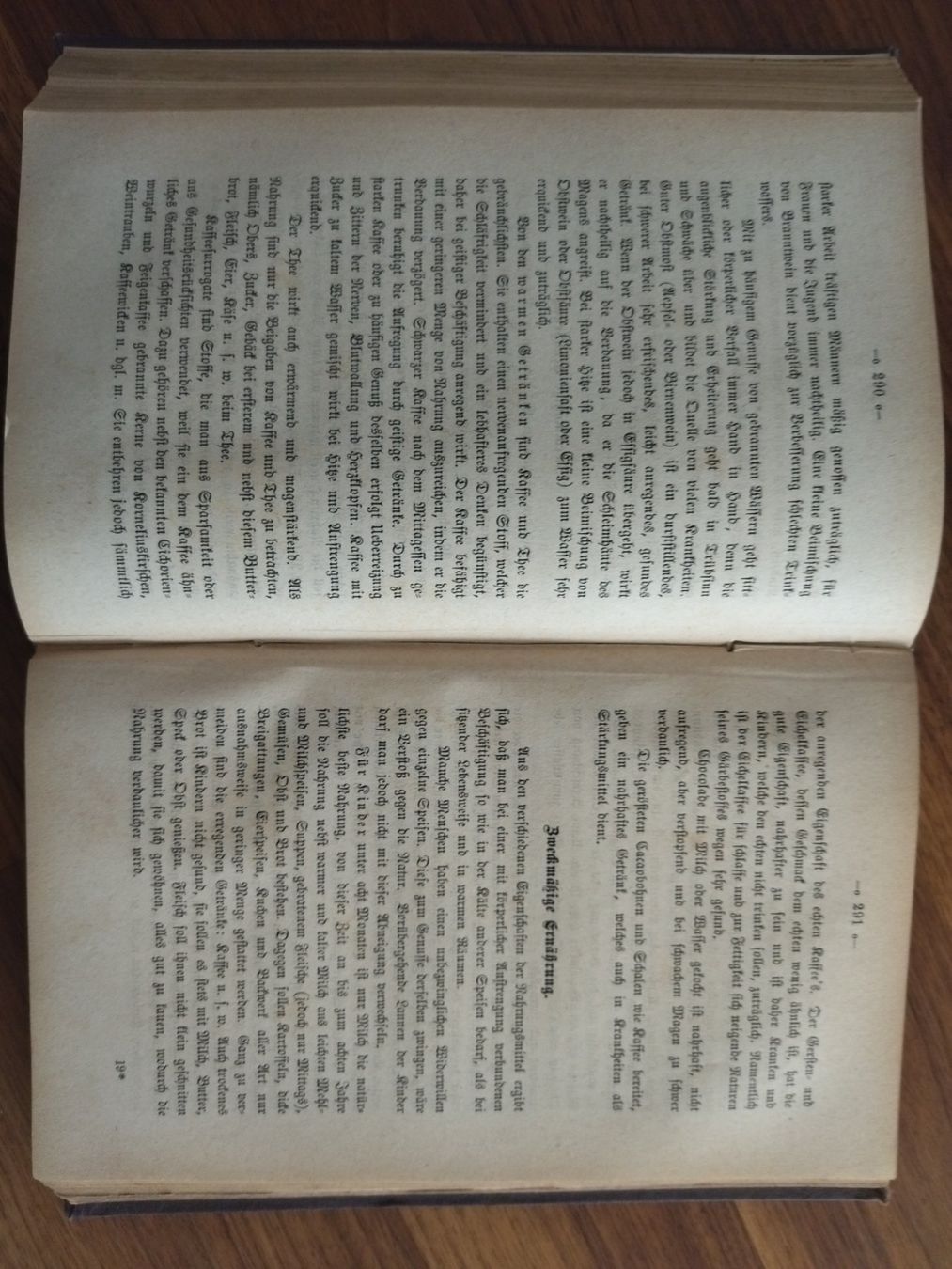 Libri: Kochbuch antik 1877 – Usato da Felben-Wellhausen venduto da bananajoe8474 4