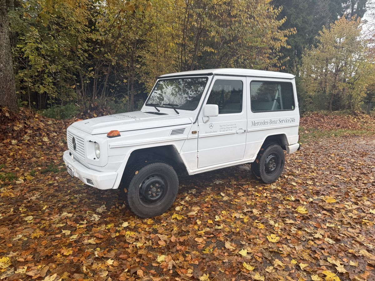 Puch Automobili: G Klasse 300 GSE – Usato da Brünisried venduto da Blau113