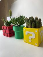 Stampe 3D Personalizzate su Richiesta