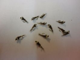 (COPIE) 11 Chans Chironomid Nymph h 16