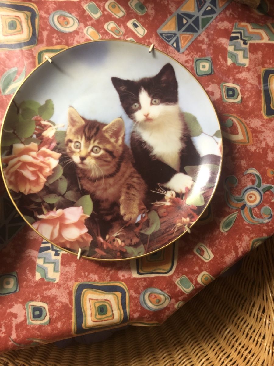 Assiettes: Sammlerteller – D'occasion à Mühlethal par nyffeler2815 1