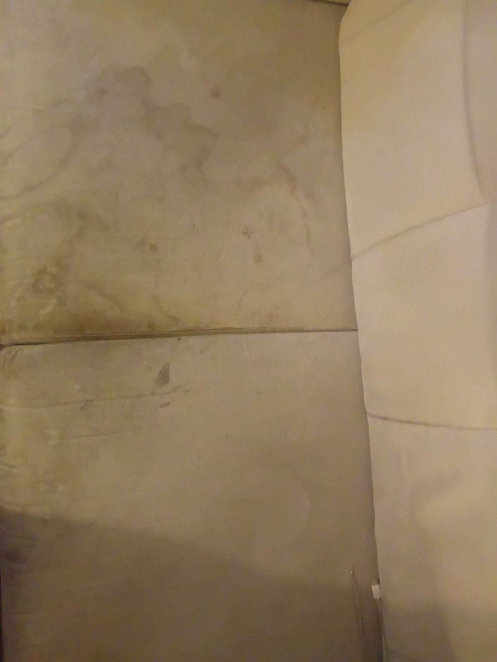Divani: Zweisitzer Sofa hellgrau Stoff mit Gebrauchsspuren – Usato da Waldenburg venduto da dis_9jl6 1