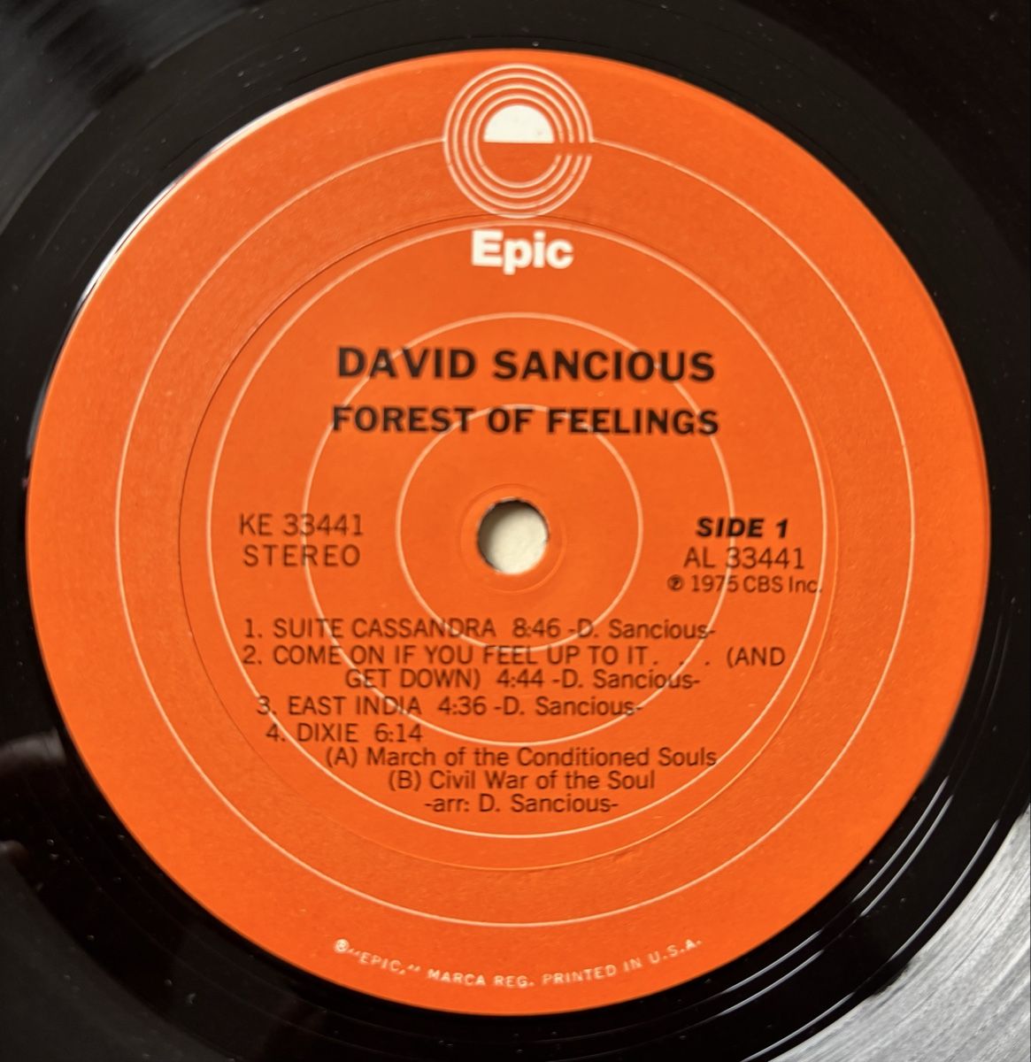 Dischi in vinile: David Sancious - Forest of Feelings VG+/VG+ – Usato da Neuchâtel venduto da Deivid2 1