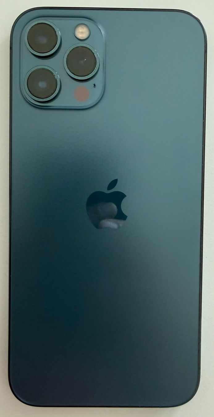 Apple Telefoni cellulari / Smartphones: Apple iPhone 13 Pro Max 512GB 97% mit Zubehör – Usato da Oberägeri venduto da Peter01234 1