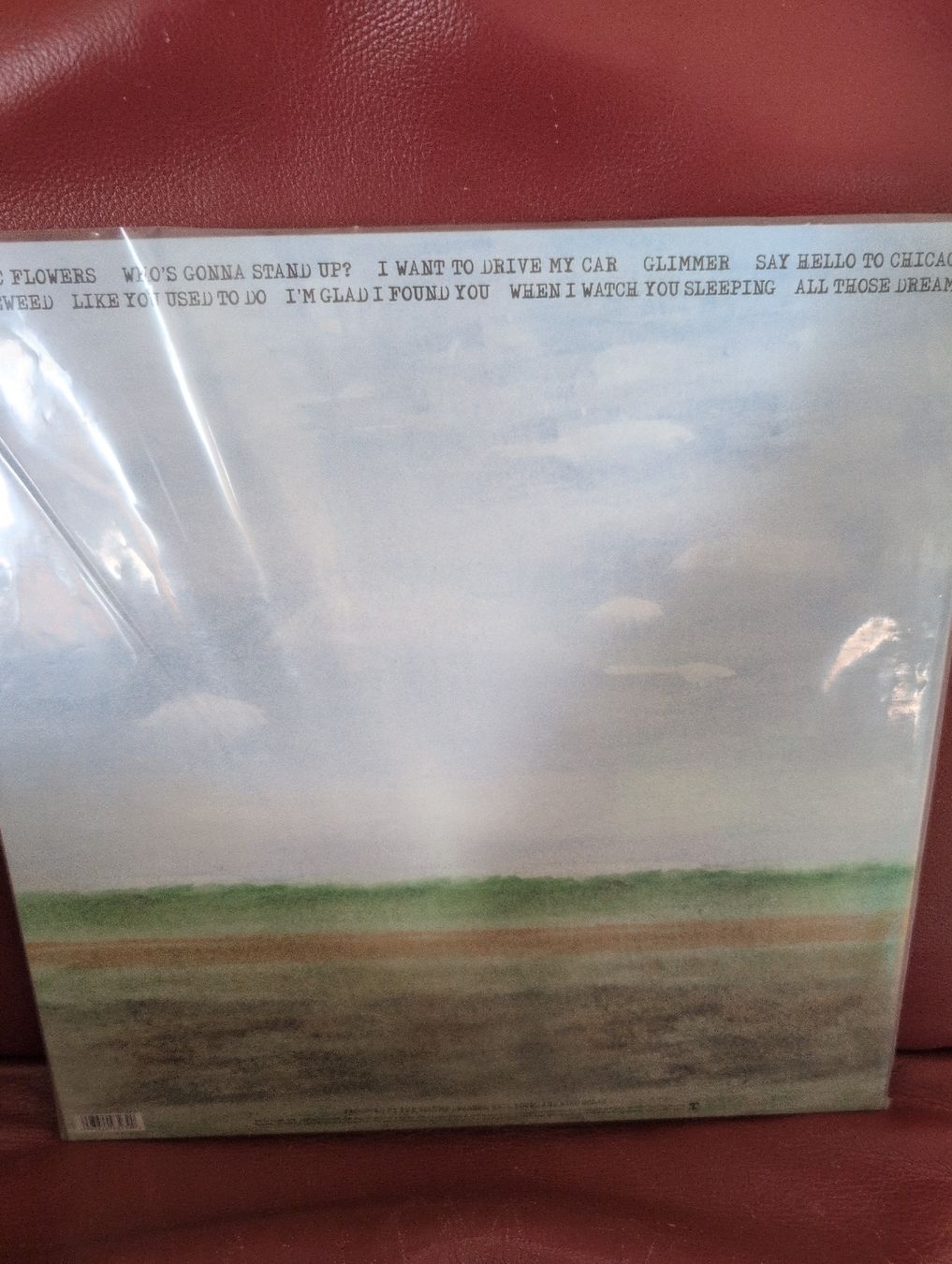 Dischi in vinile: Neil Young Storytone – Nuovo (secondo la descrizione) da Bern venduto da rabbit01 1