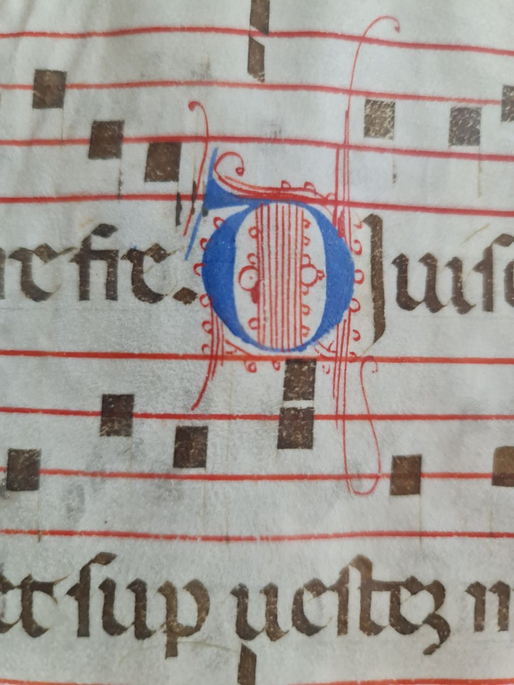 Libri: Spätmittelalterliches Antiphonarblatt - Antiphonale Exemplar – Usato da Degersheim venduto da Tosam_Degersheim 4