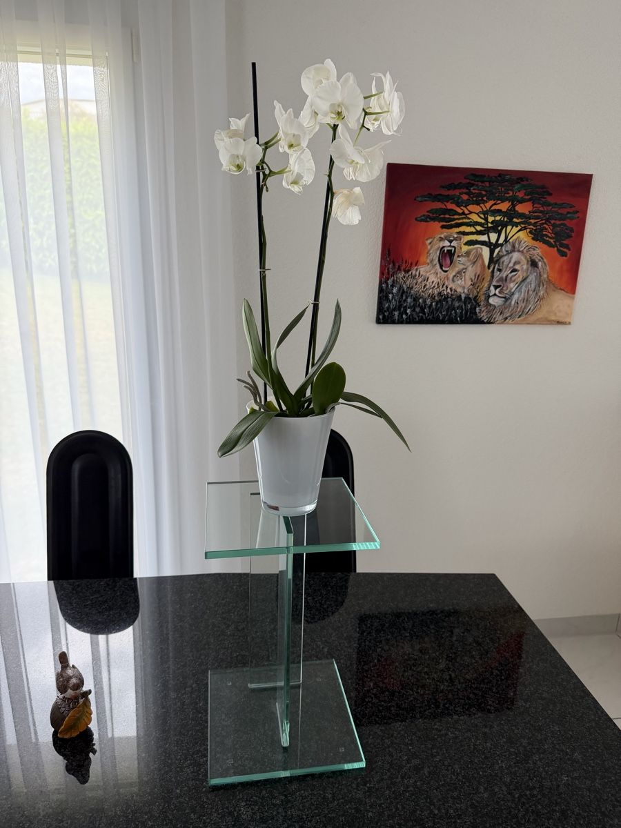 Altro per la casa: Blumen Ständer aus Glas  – Usato da Uitikon Waldegg venduto da omega1966robert 1