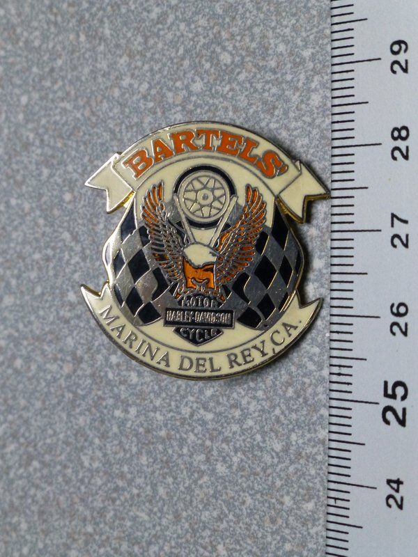 Placchette & Badge: PIN PINS HARLEY DAVIDSON HOG ABZEICHEN CHAPTER – Usato da Gränichen venduto da Jumbo77