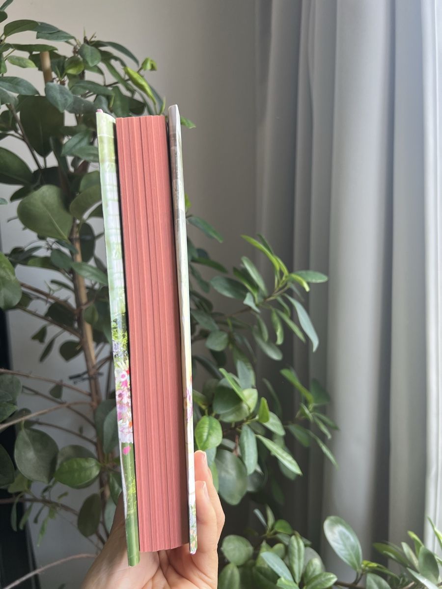 Libri: A fragile Enchantment OwlCrate special edition – Nuovo (secondo la descrizione) da Glattbrugg venduto da readsy 1