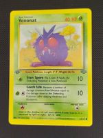 JUNGLE WEEK! 🌴 – Pokémon Venonat 1. Edition – Jungle