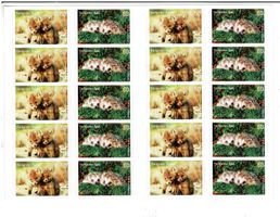 Tierkinder Fuchs & Igel  1 Heftchen **