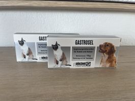 Neu! 2x GASTROSEL Tabletten Sodbrennen Hund NP: 30-.