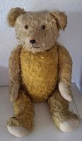 Antiker Teddybär, mit beweglichen Körperteilen