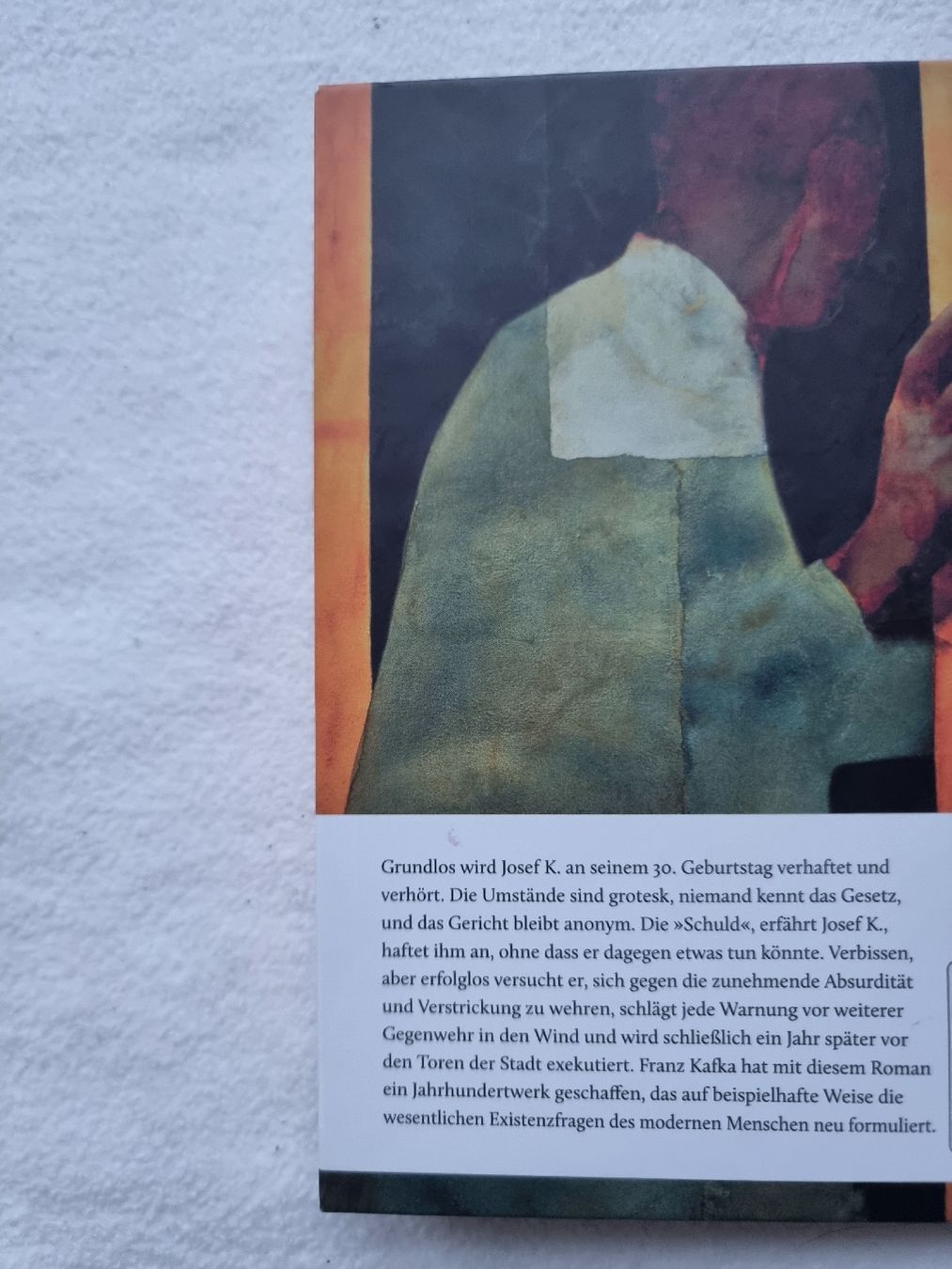 Libri: Schullektüren im Paket – Usato da Dürnten venduto da Mercurius1 3